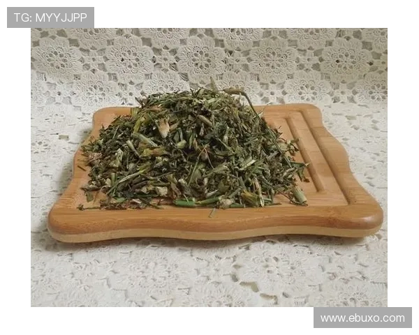 乐投letou网:多样化的体育项目投注体验与优惠活动介绍